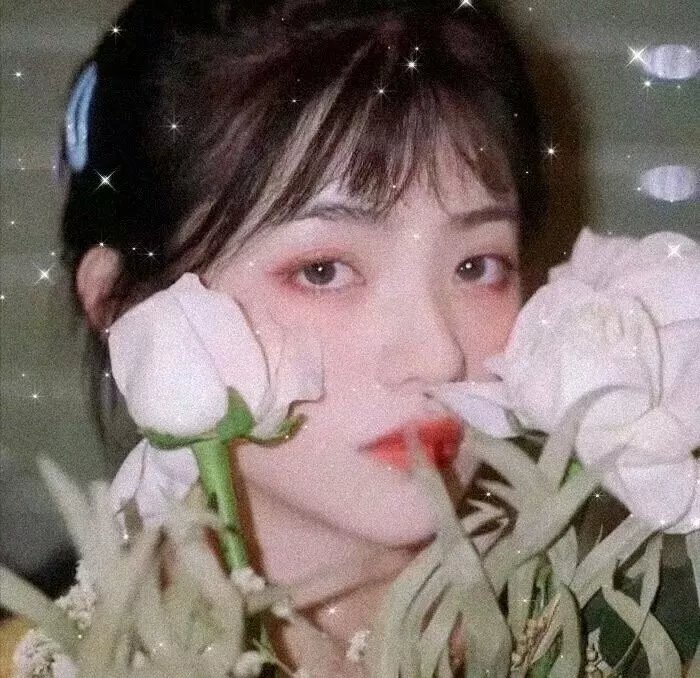 完美世界剧场版